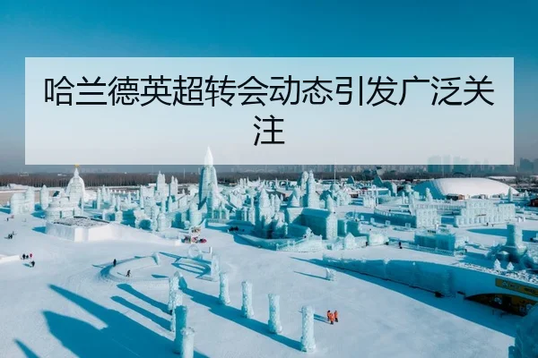 哈兰德英超转会动态引发广泛关注